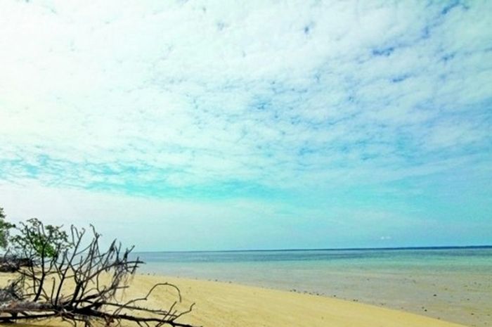 Sekeping Taman Eden Di Kepulauan Derawan Gridid