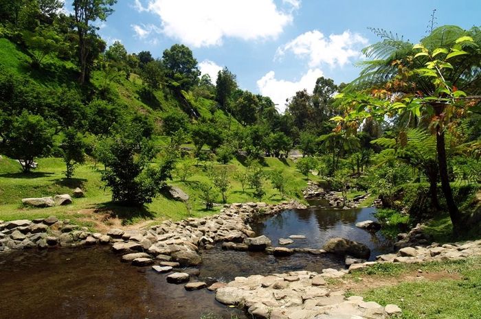 Hari Ini Masuk Kebun Raya Cibodas Gratis Gridid