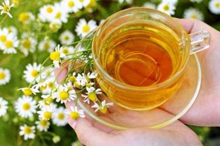 Teh Herbal Adalah / Apa saja rekomendasi teh herbal terbaik yang dijual