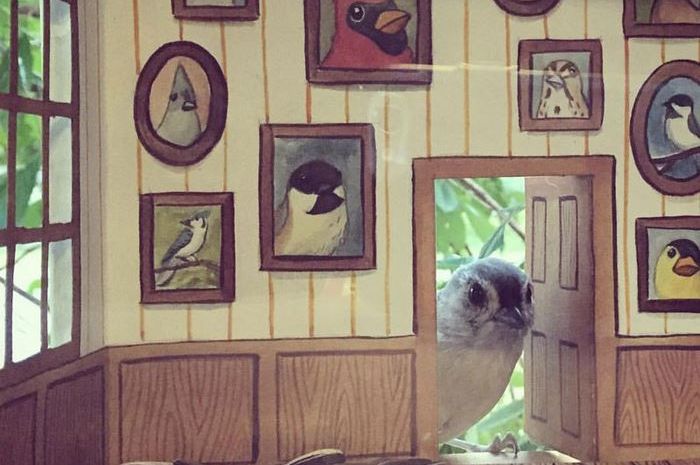 91 Koleksi Gambar Rumah Burung Cantik Gratis Terbaik