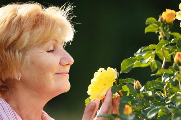 Peran Genetika dalam Menentukan Usia Menopause