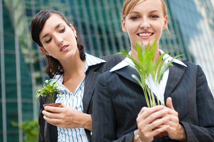 Image result for iri