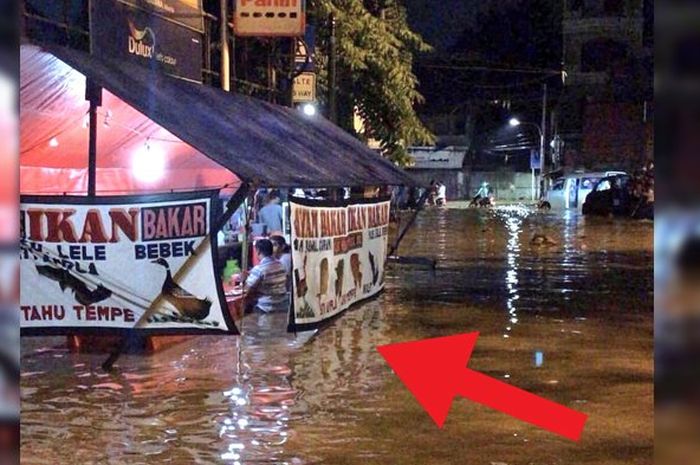 101 Gambar Bebek Sedang Makan Paling Keren 101 Gambar Bebek Sedang Makan Paling Keren