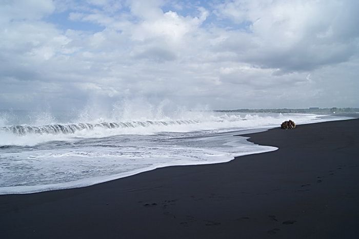 Lima Pantai Pasir Hitam Di Indonesia Yang Wajib Dikunjungi