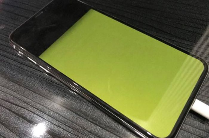Pengguna iPhone X di Indonesia Keluhkan Masalah Layar &#8220;Green Screen&#8221; - MakeMac
