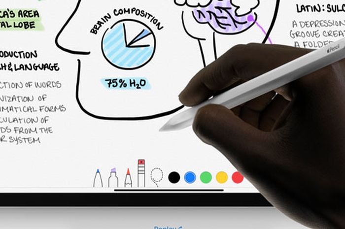 Карандаш инструкция. Apple Pencil таблица. Apple Pencil инструкция.