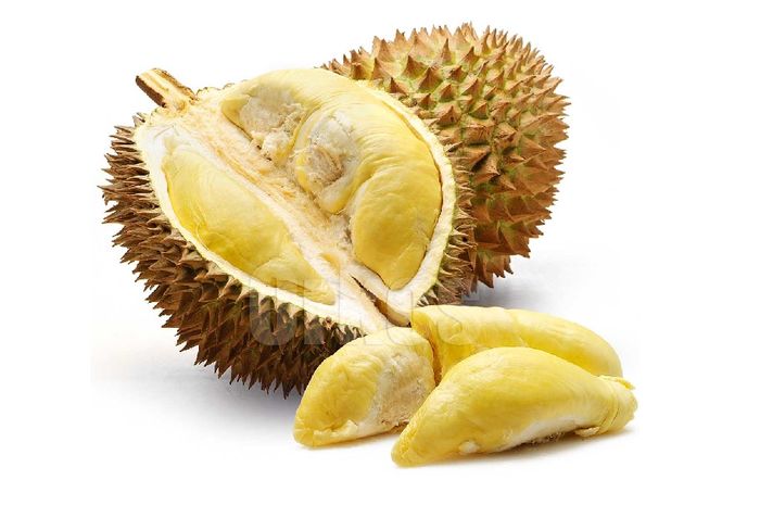 Unduh 95 Gambar Durian Kocak  
