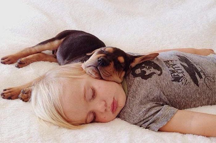 9500 Gambar Anak Merawat Hewan Terbaik