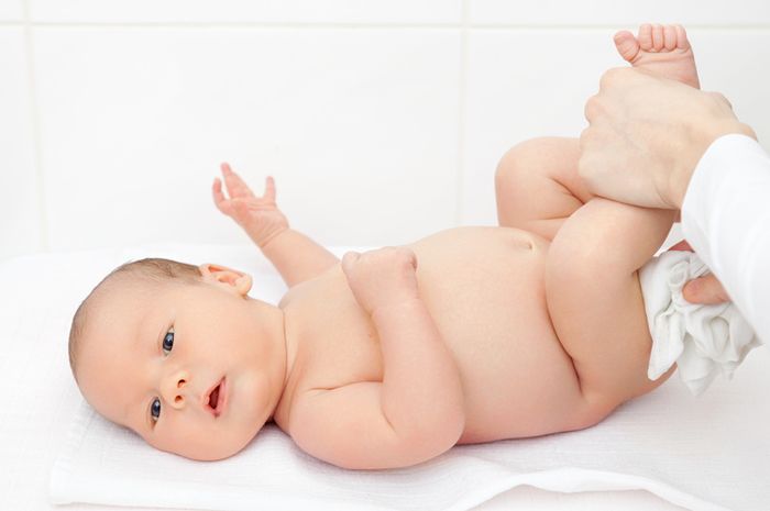 Pup Bayi Berwarna Hijau Normalkah Semua Halaman Nakita