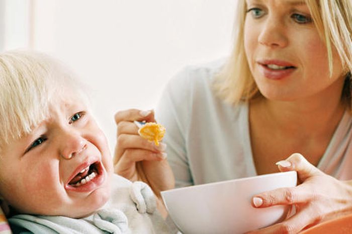 Anak 1 Tahun Tidak Mau Makan Hanya Minum Asi - Berbagai Tahun