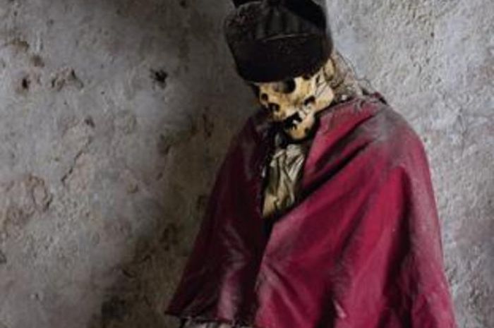 Sang Kuda Jantan Semua Halaman National Geographic