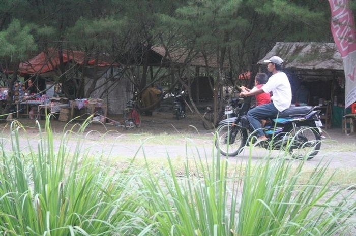 Sukses Penghijauan Di Pantai Gua Cemara Semua Halaman