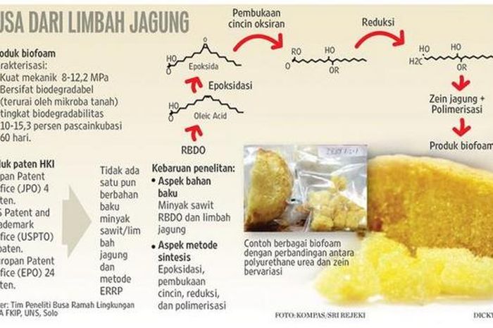 Peneliti UNS Buat Busa Ramah Lingkungan dari Limbah Jagung - National