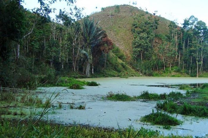 Unduh 75 Koleksi Gambar Gunung Hutan Terbaik HD