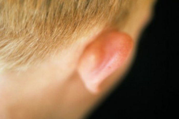 Daun Telinga Dan Hidung Bisa Dibuat Dari Jaringan Lemak National Geographic