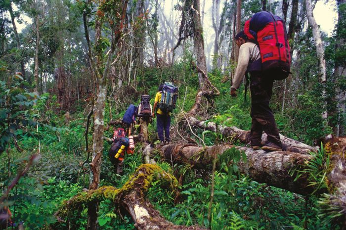 Bertandang Ke Gunung Argopuro Dengan Rute Ltigtroller