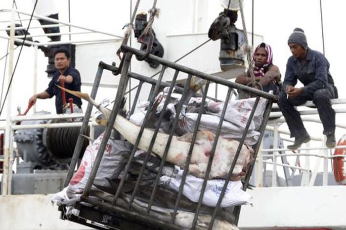Eksploitasi di Balik Industri Fashion: Perbudakan Modern yang Tersembunyi