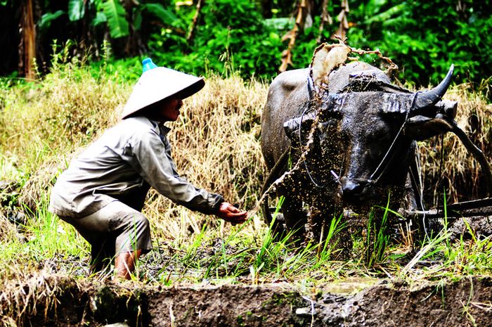 Unduh 8600 Gambar Ekspresi Lingkungan Terbaru HD