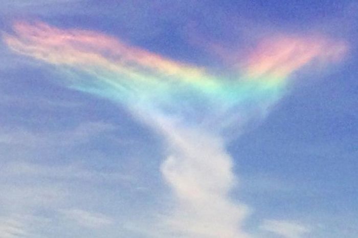 Sebenarnya Ada 12 Jenis Pelangi National Geographic Sebenarnya Ada 12 Jenis Pelangi National Geographic