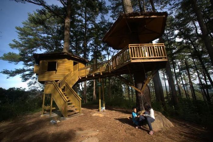 Telisik Tahura PMI - National Geographic