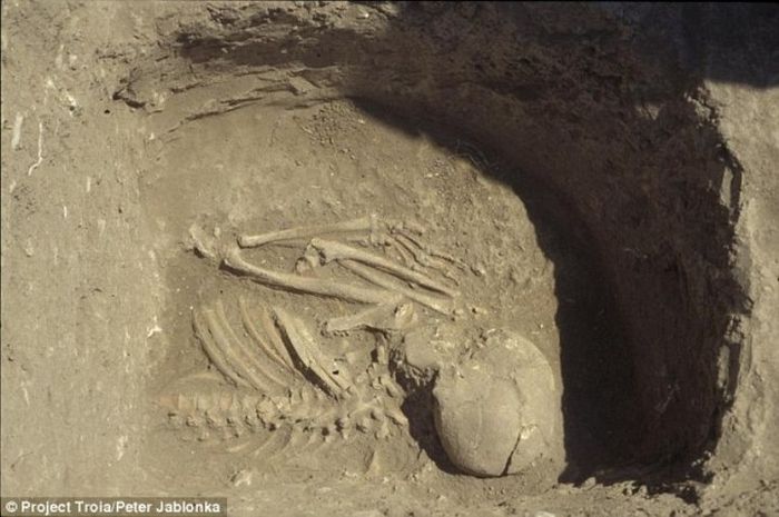 Analisis Dna Petani Pertama Di Eropa Datang Dari Turki National Geographic