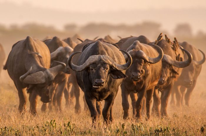 Kesfedilmeyi Bekleyen Guney Afrika Seyahat Haberleri