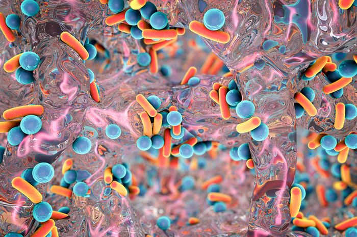 Inilah 12 Bakteri Kebal Antibiotik yang Paling Mengancam Kesehatan