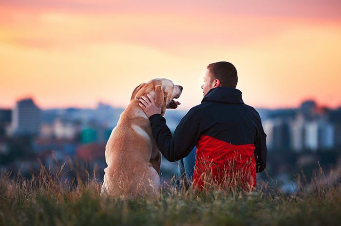 700px x 465px - Lebih Cinta Anjing Peliharaan Ketimbang Teman Manusia? Ini Penjelasan  Ilmiahnya - Semua Halaman - National Geographic