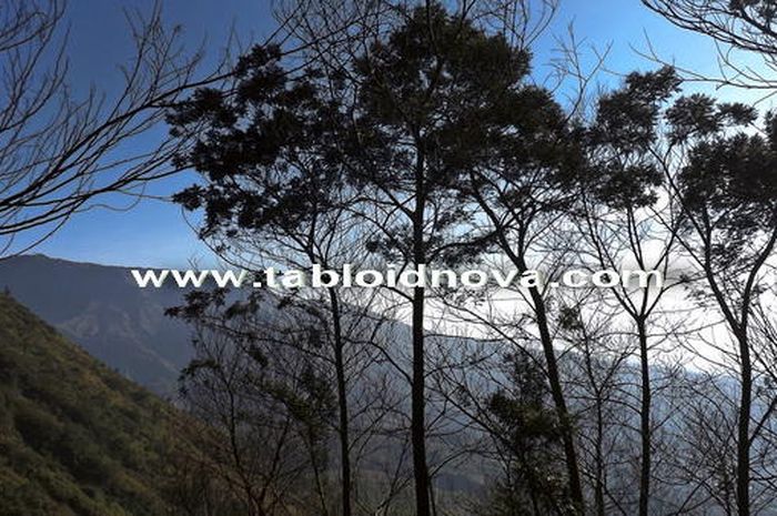 Wisata Dieng Keindahan Di Atas Awan Nova Wisata Dieng Keindahan Di Atas Awan Nova