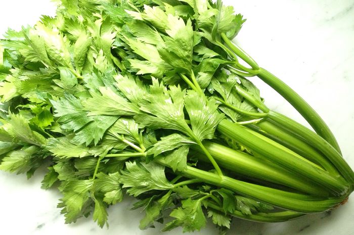 Manfaat Air Rebusan Daun Seledri Untuk Diet Manfaat Air Rebusan Daun Seledri Untuk Diet