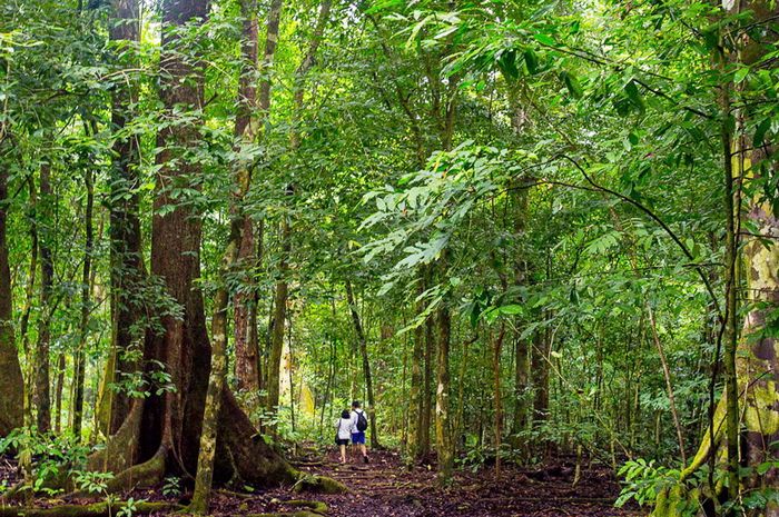 Wisata Ke Taman Nasional Ujung Kulon Berharap Untung