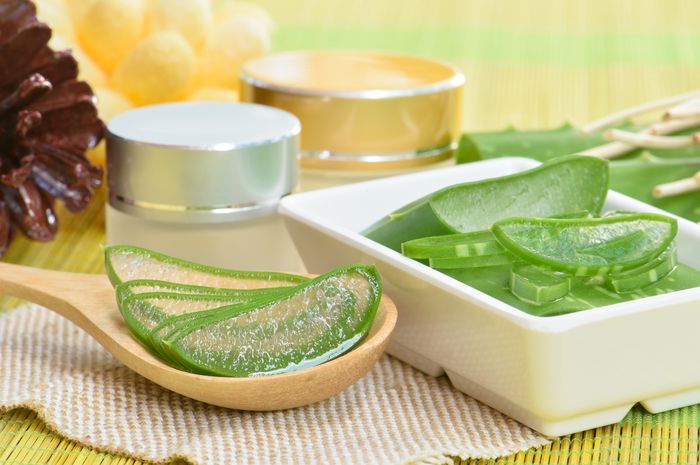 Tak Perlu Beli, Inilah Cara Mudah Membuat Masker Wajah dari Lidah Buaya