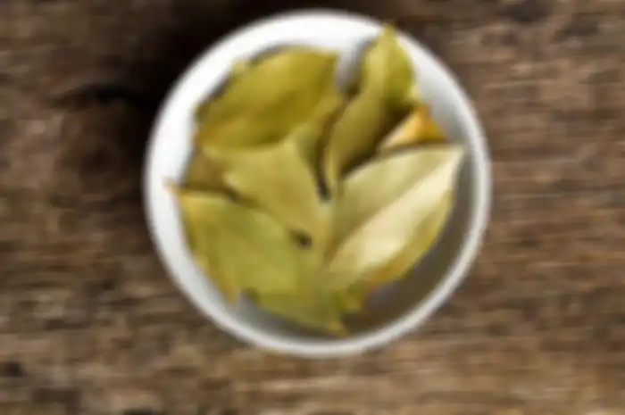 Selain banyak digunakan untuk memasak, mengonsumsi daun salam ternyata memberikan beberapa manfaat kesehatan!
