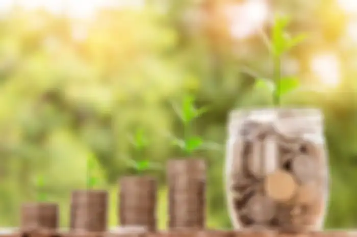 Pasangan yang baru menikah memerlukan 5 panduan kesuksesan finansial untuk kehidupan pernikahan yang lebih harmonis.