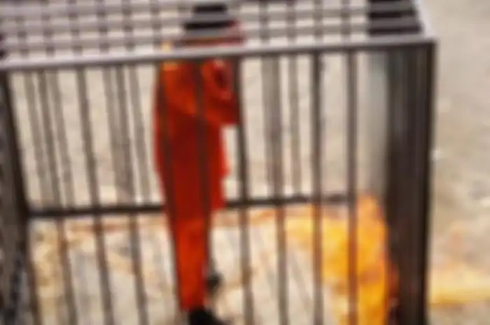 Di antara empat pemimpin senior ISIS yang berhasil ditangkap, Saddam Al-Jamal dianggap sebagai pemimpin ISIS yang paling brutal.