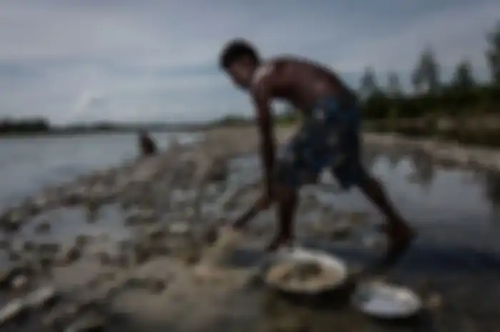 'Tanah Papua tanah yang kaya, surga kecil jatuh ke bumi'. Begitulah penggalan lagu 'Tanah Papua' yang sering dinyanyikan oleh orang-orang Papua.