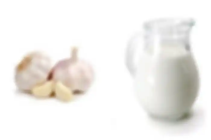 Menurut Ayurveda, meminu campuran bawang putih dan susu setiap hari dapat mengobati lebih dari 8 gangguan kesehatan.