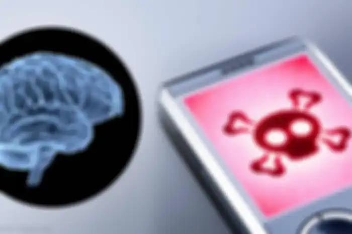 Kebiasaan menghabiskan waktu 15 jam sehari gunakan smartphone bisa jadi pemicu lahirnya kanker otak. 