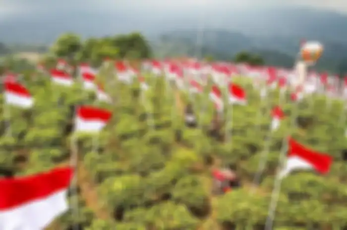 Itulah untuk pertama kalinya Merah-Putih berkibar di medan pertempuran sebagai panji-panji pasukan yang menang perang.