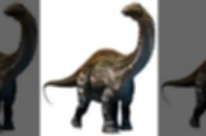 "Setelah sekitar setengah jam mencari, saya melihat jejak itu dan dapat segera mengenalinya sebagai jejak dinosaurus sauropoda," kata Clark.