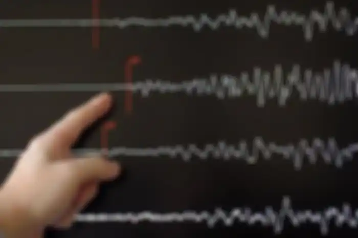 Gempa berkekuatan 6,1 magnitudo mengguncang Manokwari Selatan, papua Barat, Jumat (28/12/2018) pukul 10.03 WIB.