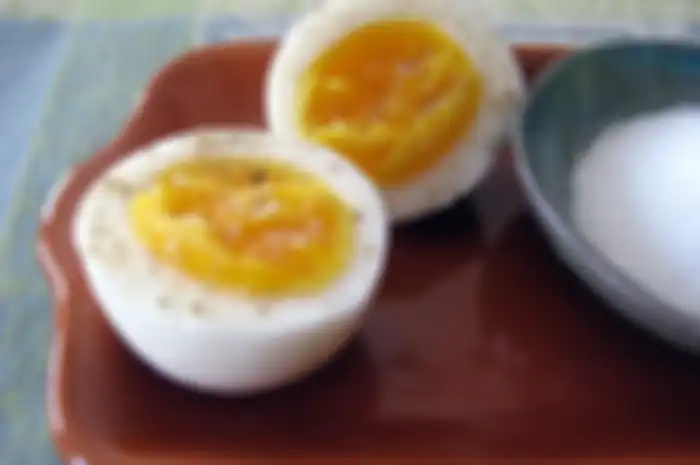 Telur sendiri kaya akan protein tinggi, dan mengacu pada pola asam amino protein, yang sangat mudah diserap oleh tubuh manusia.