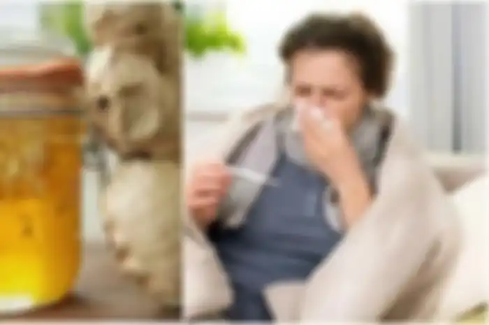 Anda sedang terserang demam dan flu? Sebelum ke dokter, cobalah resep rumahan berikut ini yang lebih murah dan praktis.