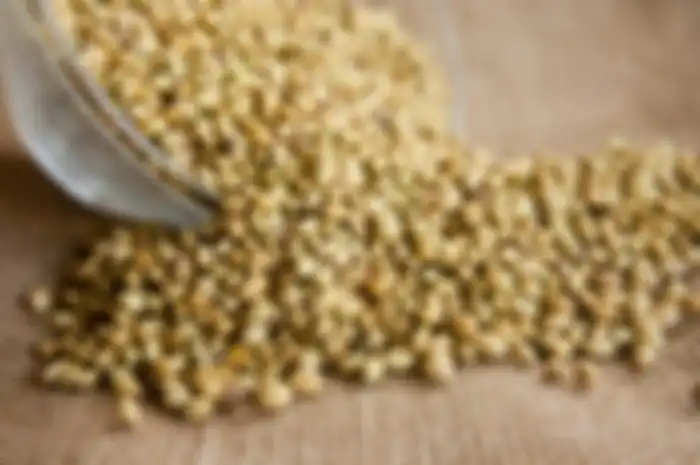 Minum rendaman air biji ketumbar, kita bisa rasakan 6 manfaat kesehatan tak terduga ini! Mulai dari cegah diabetes hingga osteoporosis.