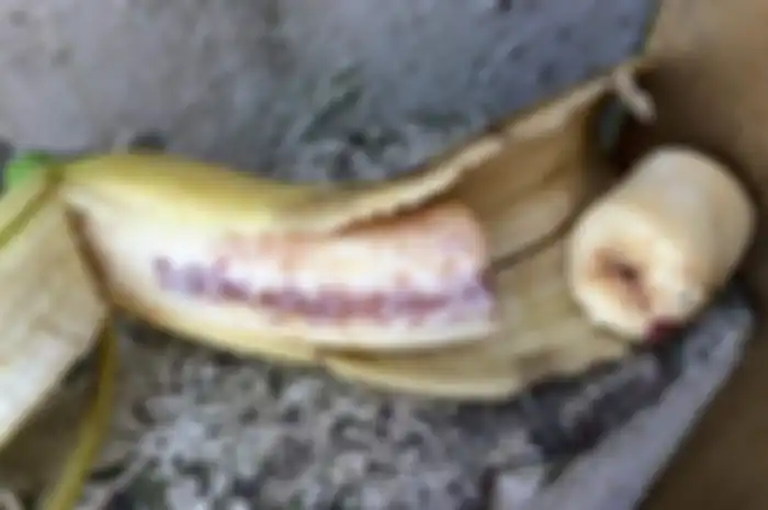 Ternyata beginilah kebenaran kabar pisang berdarah yang konon telah disuntikkan darah HIV, benarkah bisa menular.