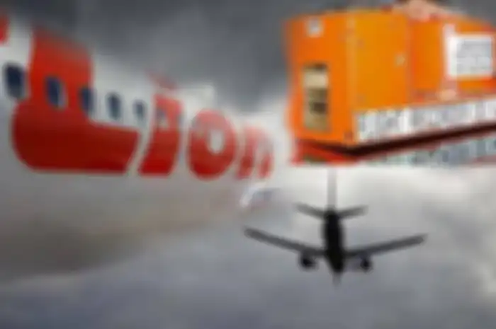 Hingga hari ini, Minggu (3/11/2018), proses evakuasi pencarian korban dan bangkai pesawat Lion Air JT 610 masih dilakukan.