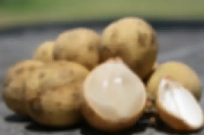 Tahukah Anda mengenai manfaat luar biasa duku?

Banyak orang yang suka makan buah duku tanpa mengetahui manfaat baiknya bagi kesehatan.