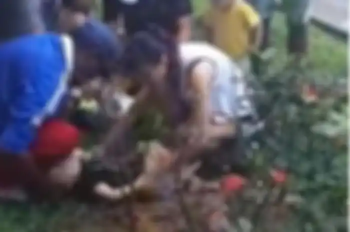 Menurut keterangan, bayi tersebut diduga memanjat bangku kecil sebelum akhirnya mencapai jendela dan akhirnya terjun.