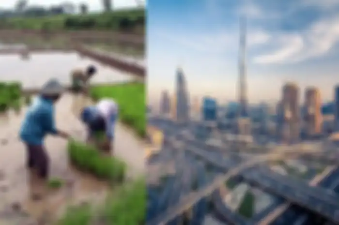 Di Dubai, biaya perawatan dengan vegetasi tinggi, dan hijau adalah salah satu kriteria untuk mengukur kekuatan keuangan keluarga atau unit.