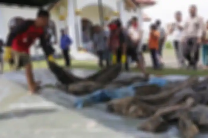 Kepala Pelaksana BPBA, Teuku Ahmad Dadek mengatakan, 45 jenazah korban tsunami Aceh tersebut terdiri dari 25 laki-laki dan 20 perempuan.